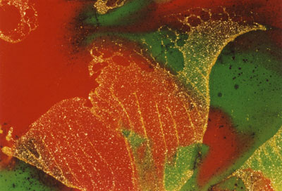 Claude Turlan - artiste peintre en région centre